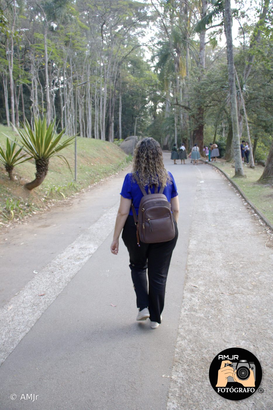 Mulher de costas caminhando na alameda arborizada do Horto